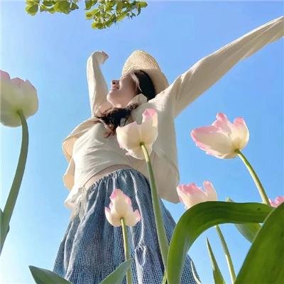 蜘蛛网