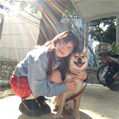 国王:永远的君主